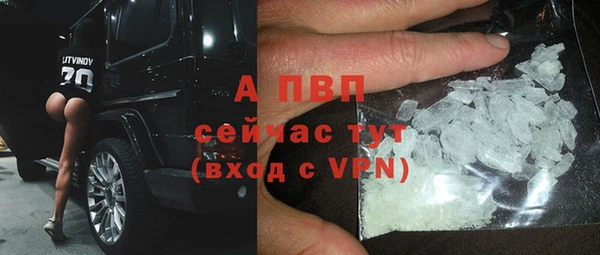 прущая мука Инсар