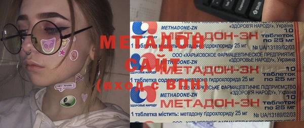прущие грибы Алзамай