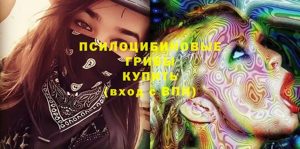 МДПВ Абаза