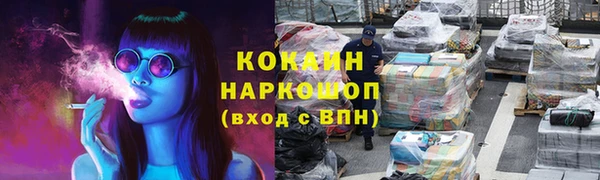 прущие грибы Алзамай