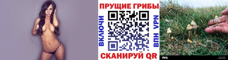Галлюциногенные грибы прущие грибы  Покачи 
